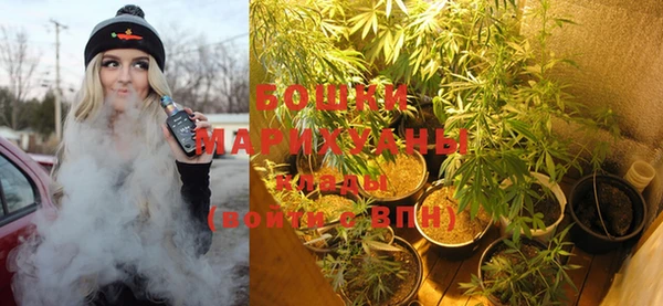 стафф Аркадак