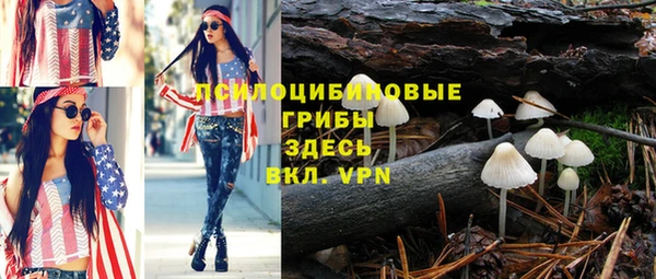 гашиш Арсеньев