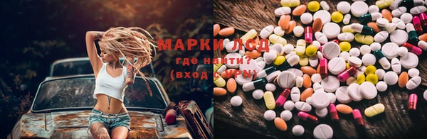 стафф Аркадак